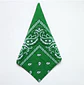 Bandana 55x55cms Verde - Miniatura 1