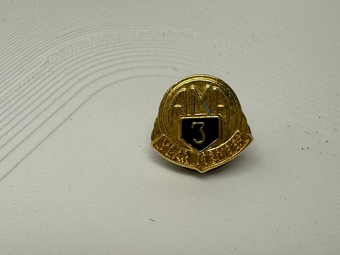 PIN AMA 3