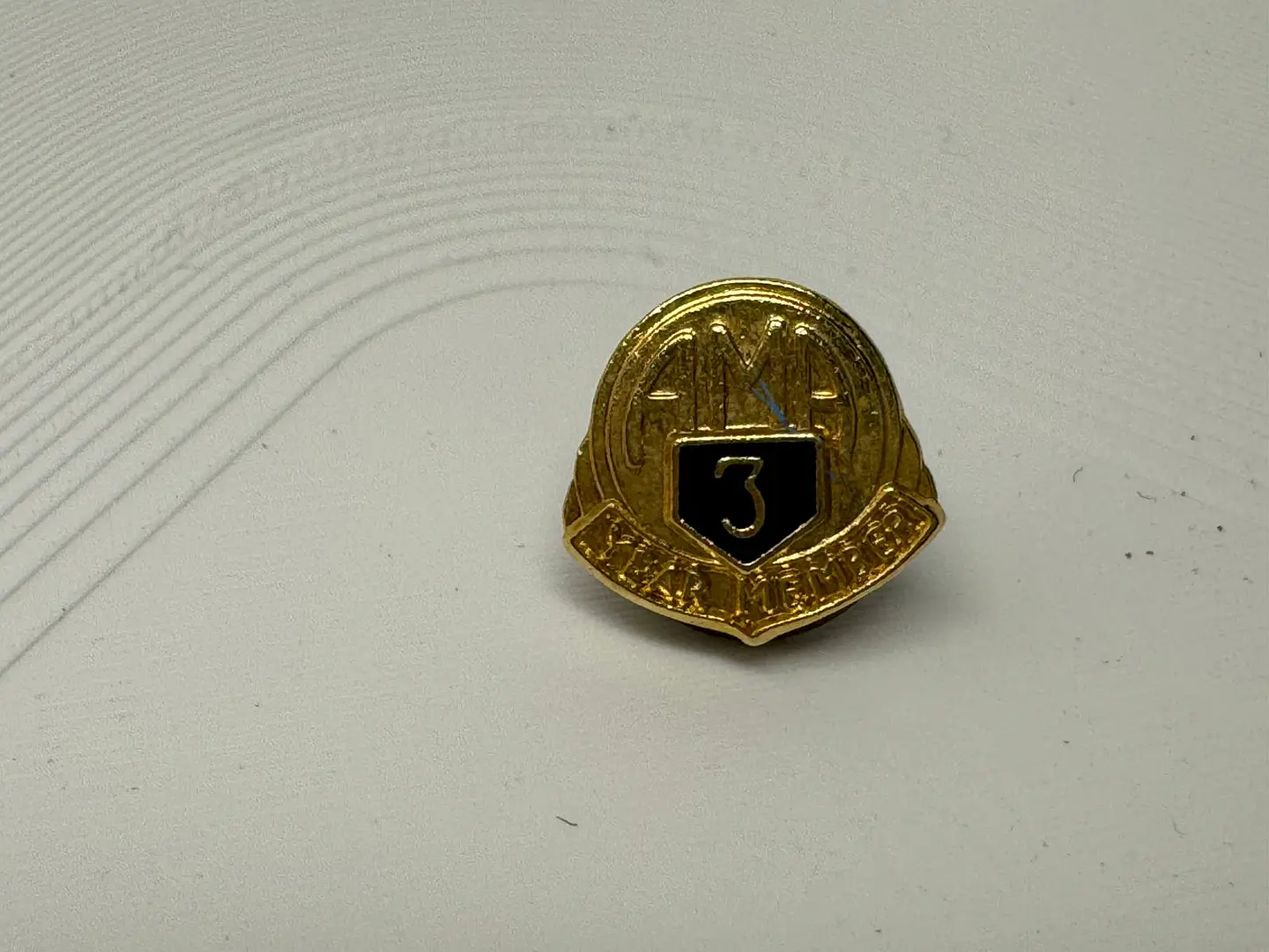 PIN AMA 3 1