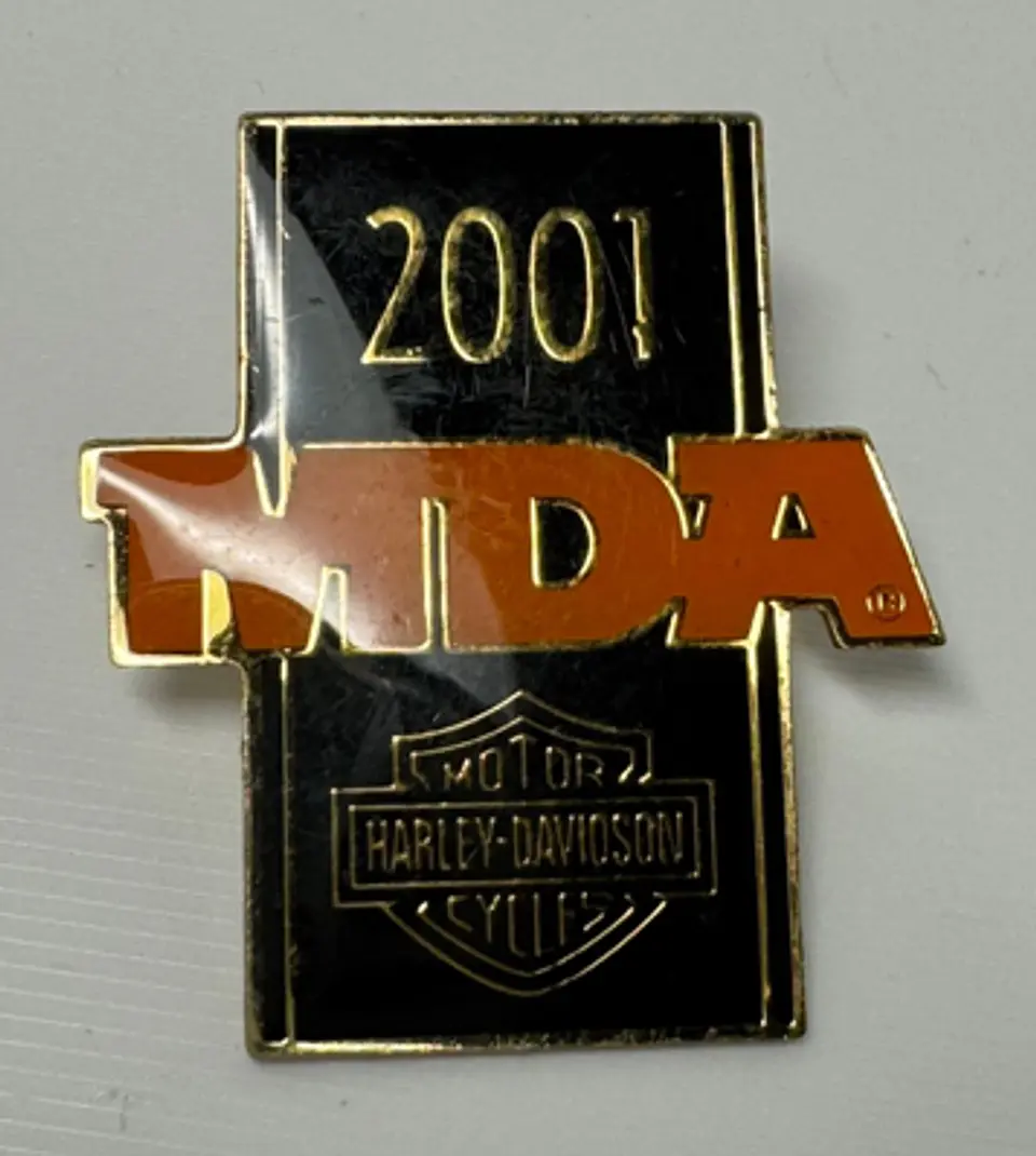 PIN MDA 2001 1