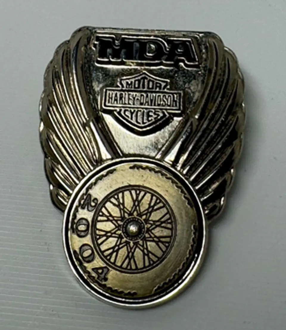PIN MDA 2004 1
