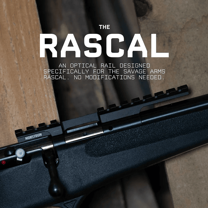 Riel Picatinny para Savage Rascal - tipo Puente 10 slots- COPIAR 2