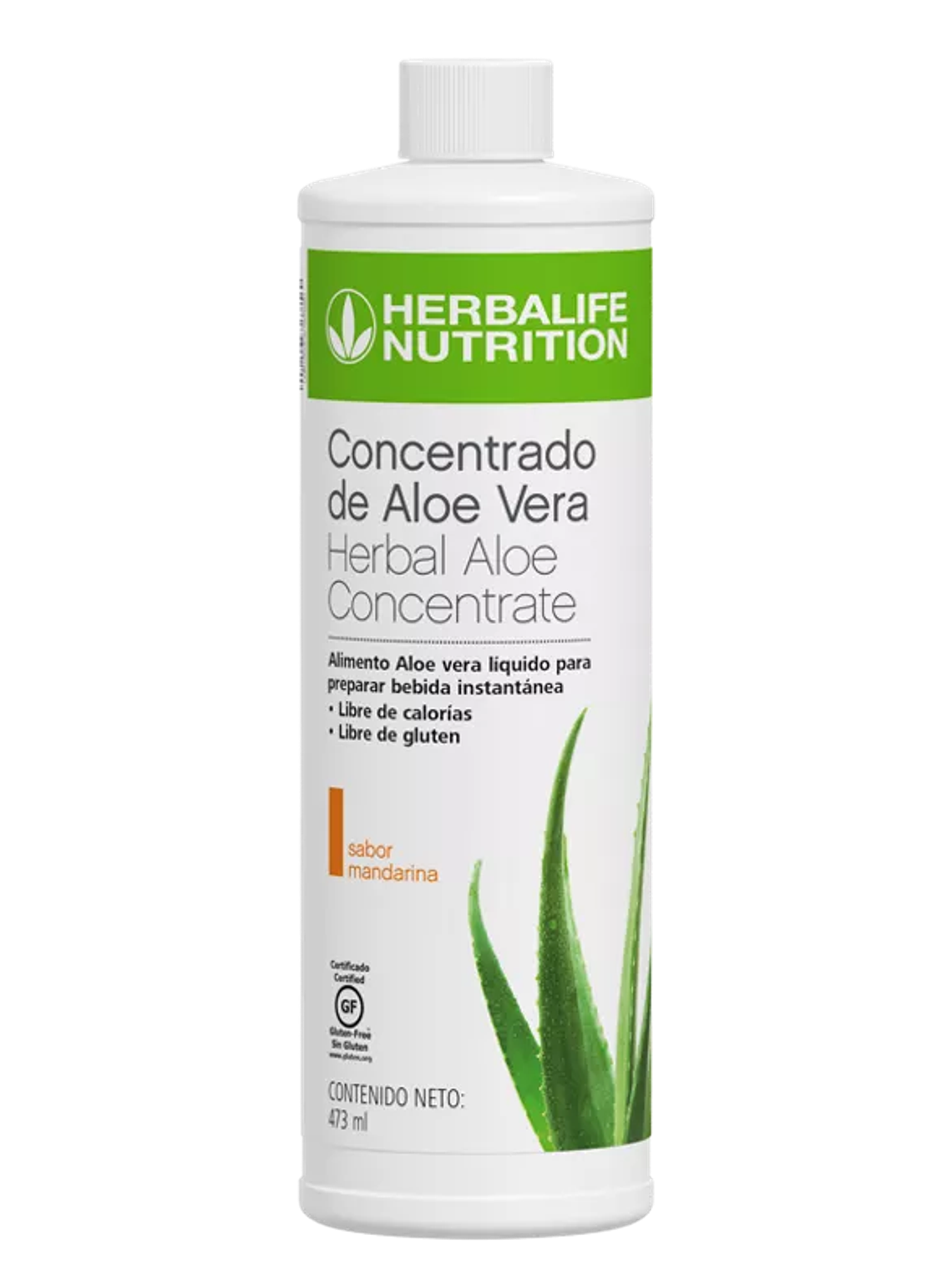 Concentrado de Aloe Vera 1