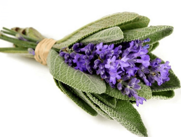 Hidrolato Salvia Officinalis