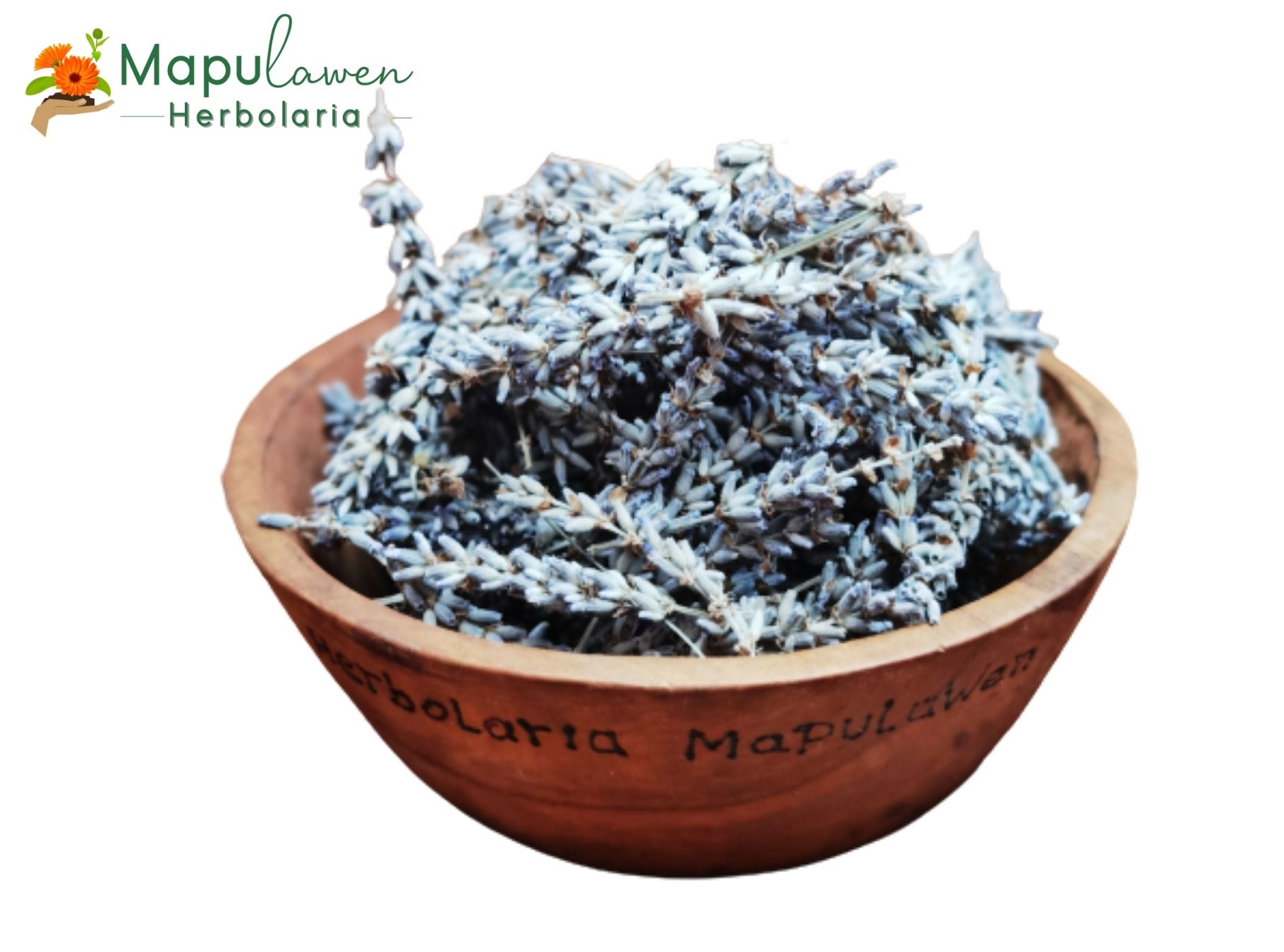 Lavanda