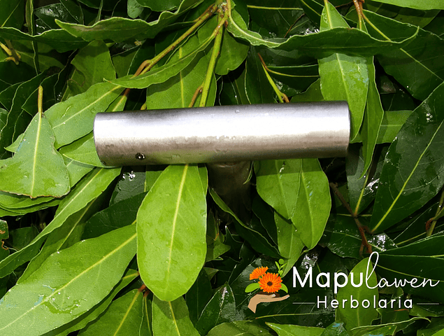 Hidrolato de Laurel