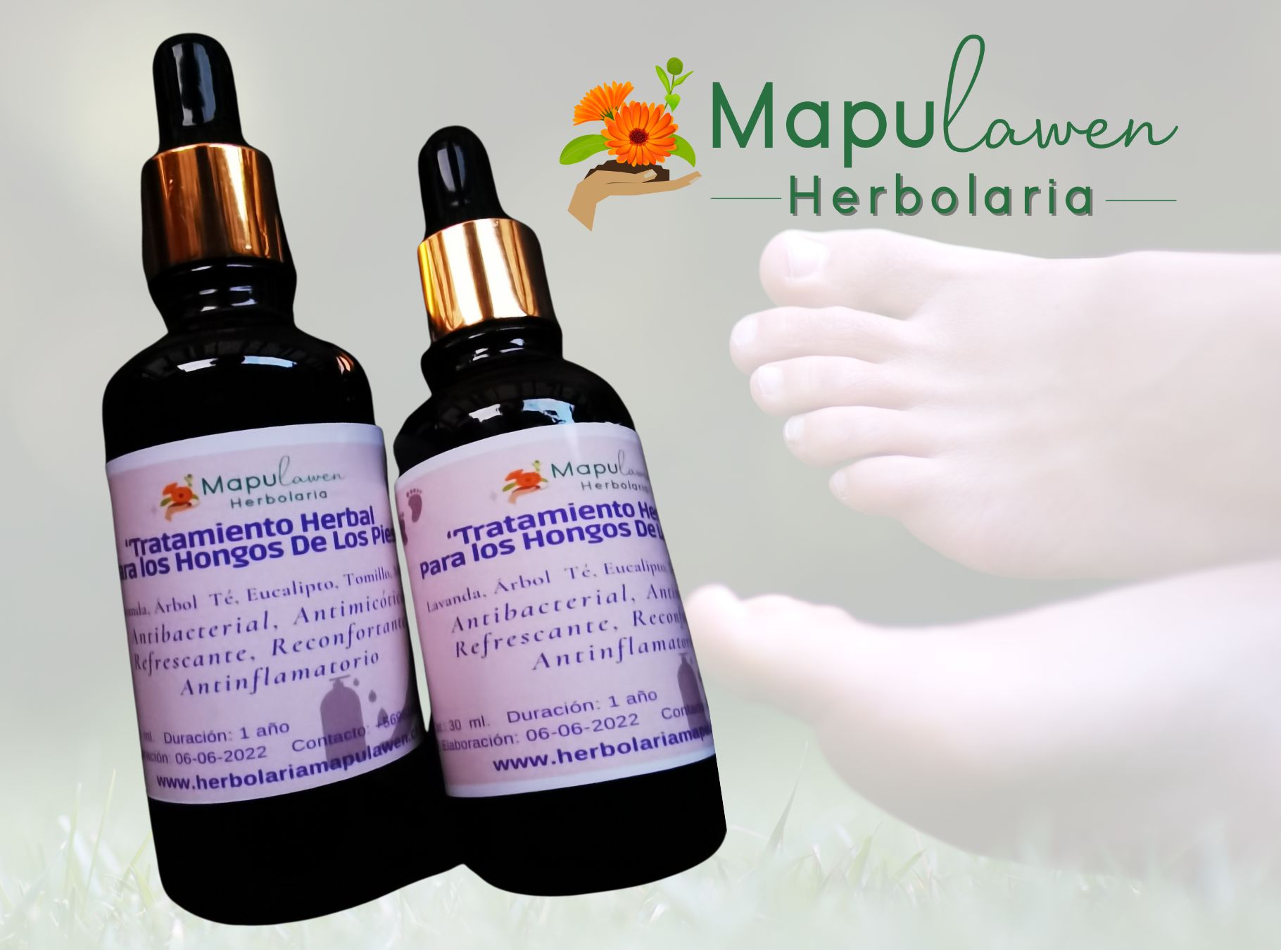 Aceite Herbal Tratamiento Hongos Pies