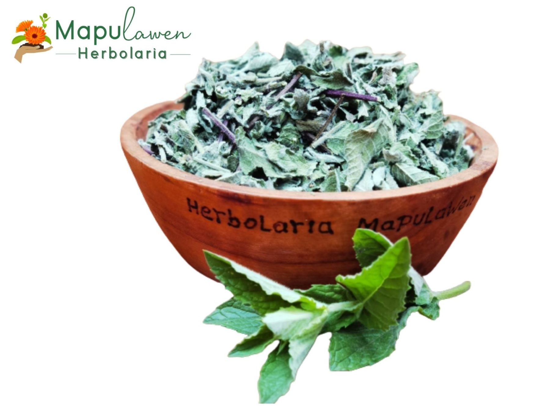 Menta