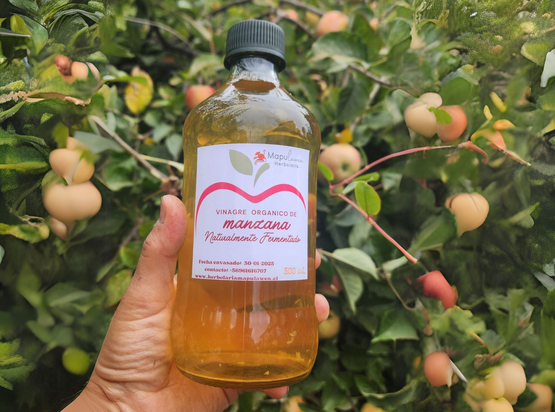 Vinagre de Manzana Orgánico, 500 ml