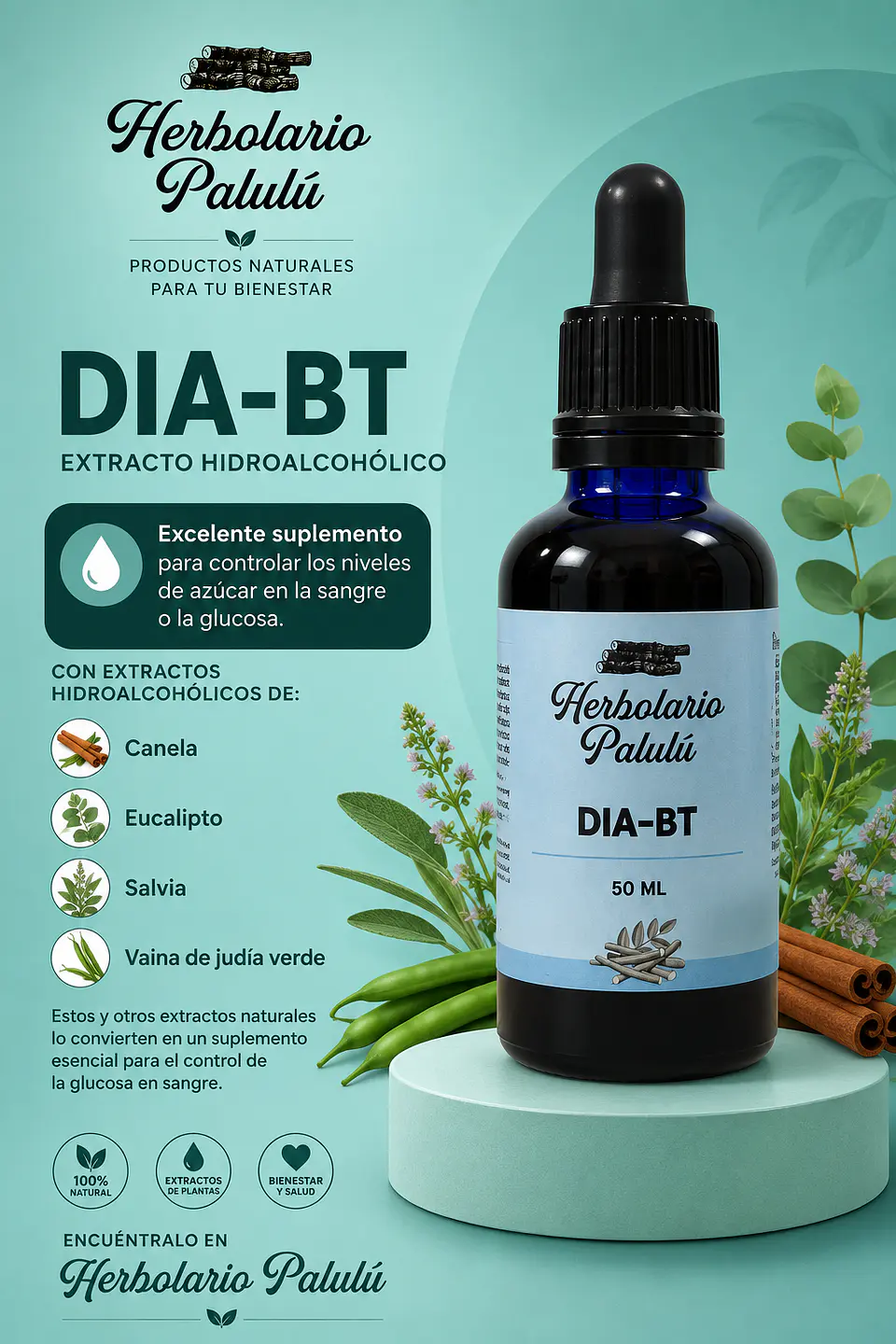Dia_Bt 1