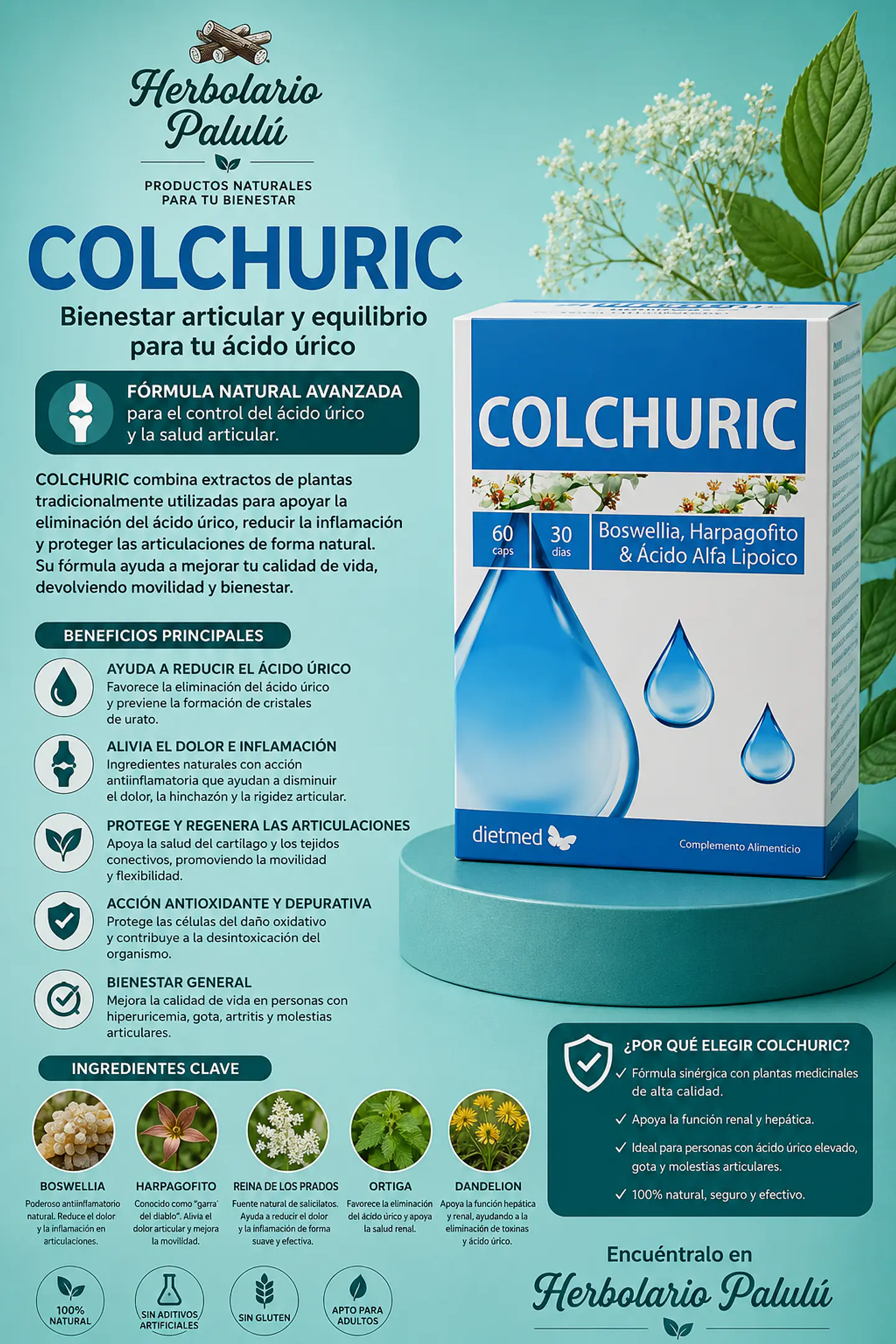 Colchuric  1