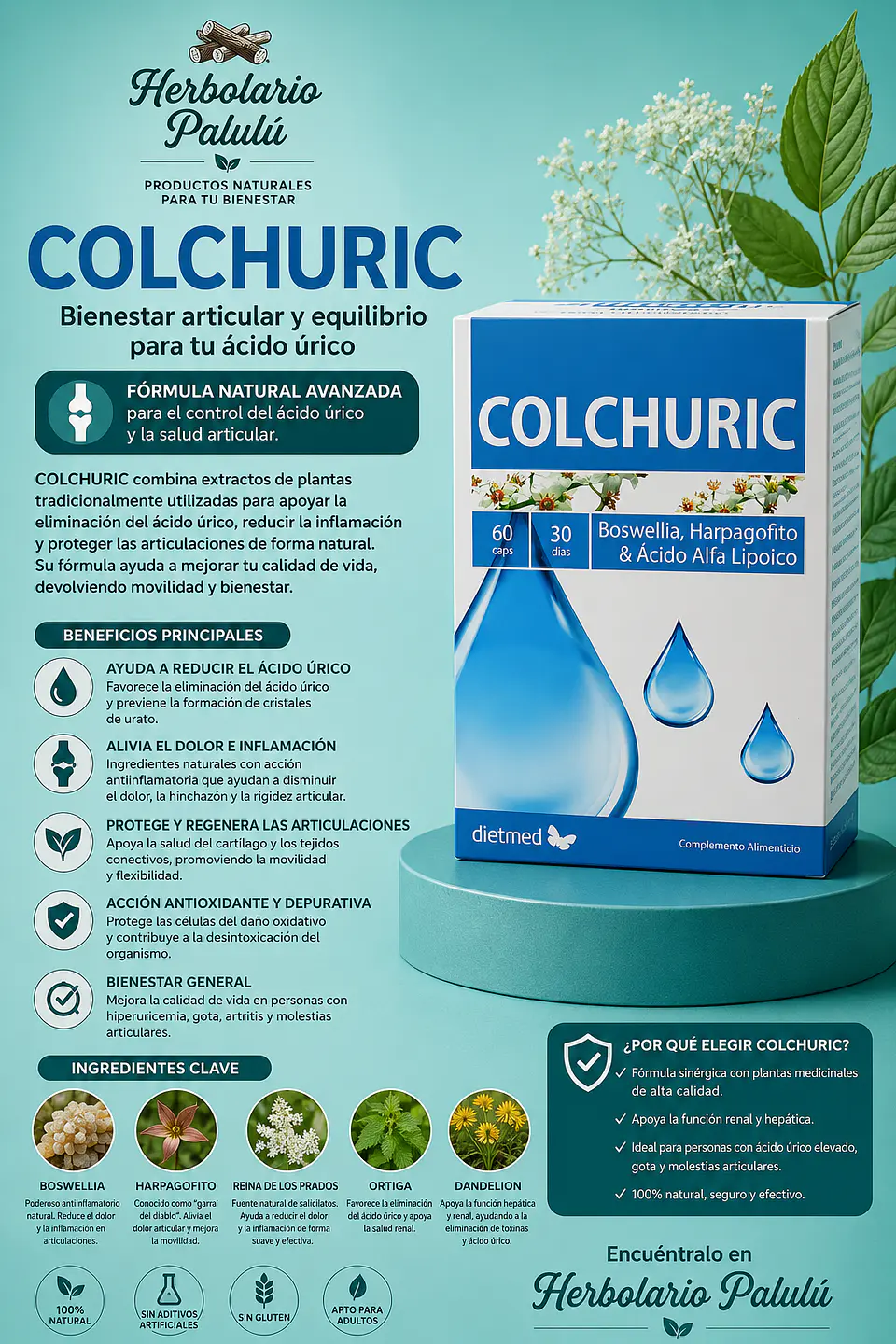 Colchuric  1