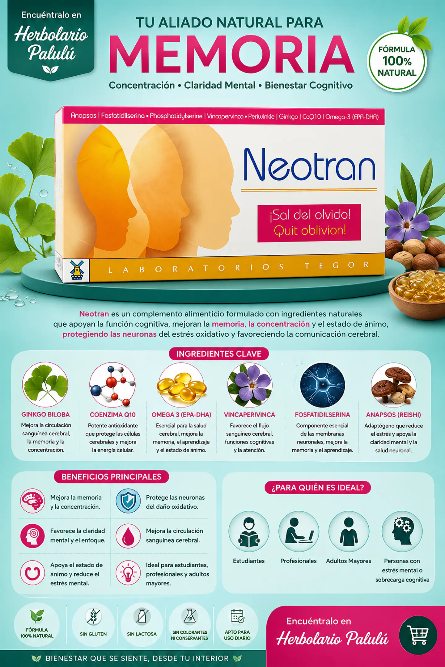 Neotran 1