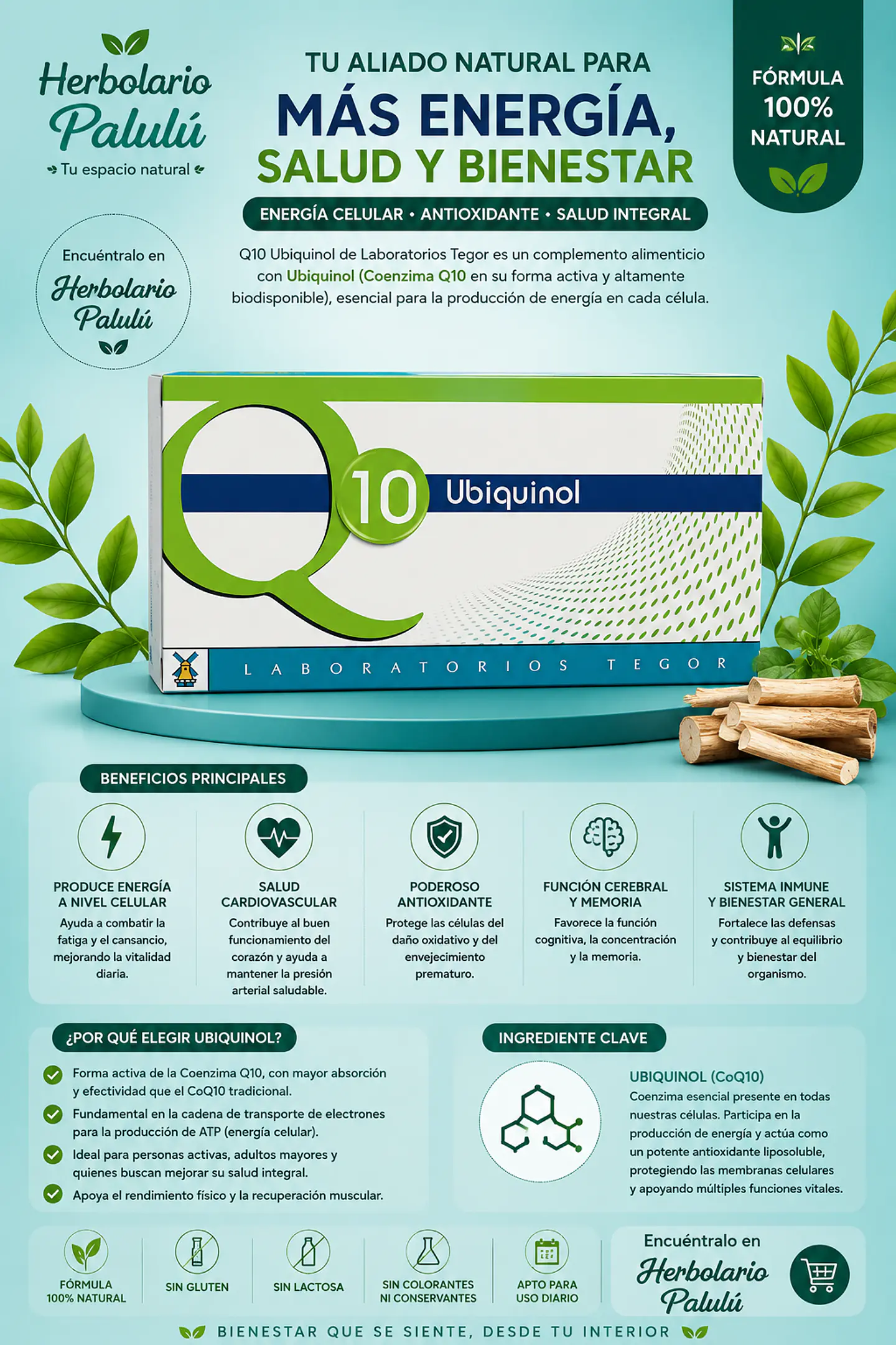 Q10 Ubiquinol  1