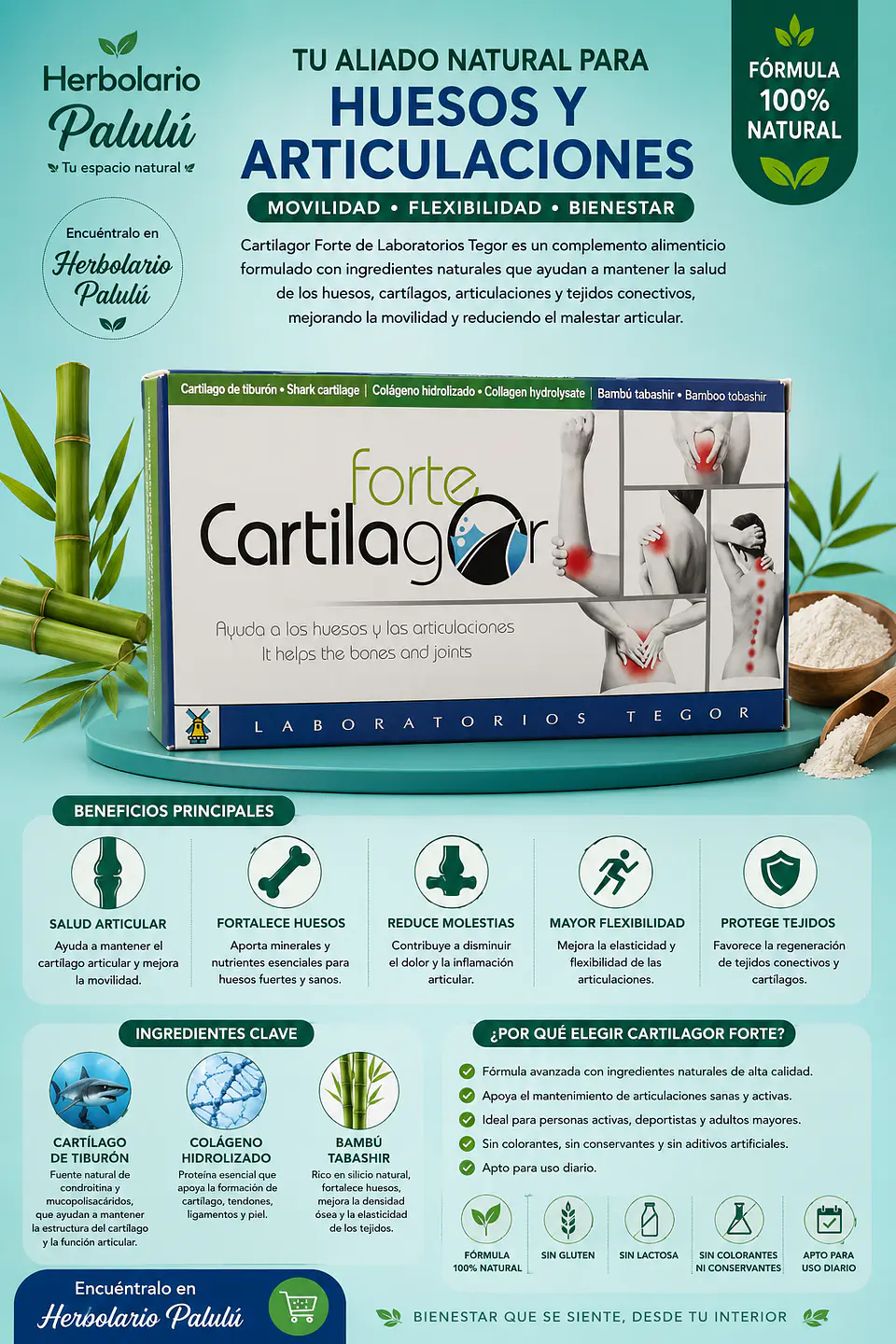 Cartilagor forte 1