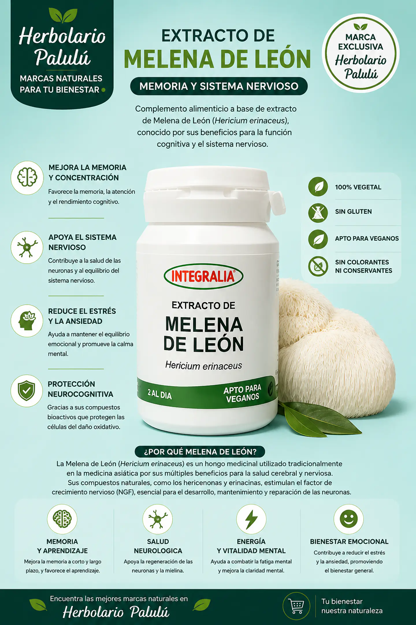 Melena de León 60 caps 1