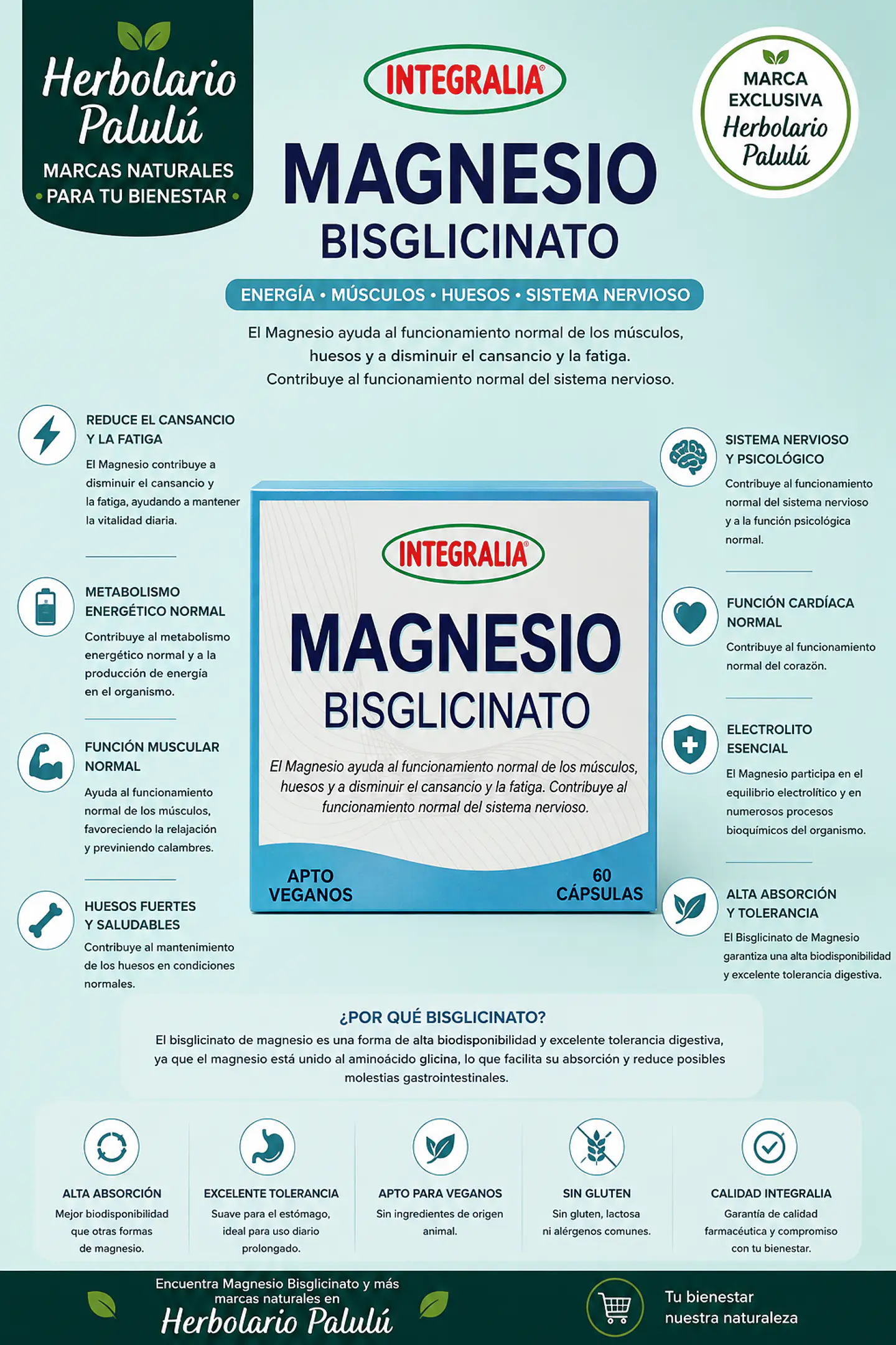 Magnesio Bisglicinato 60 caps 1