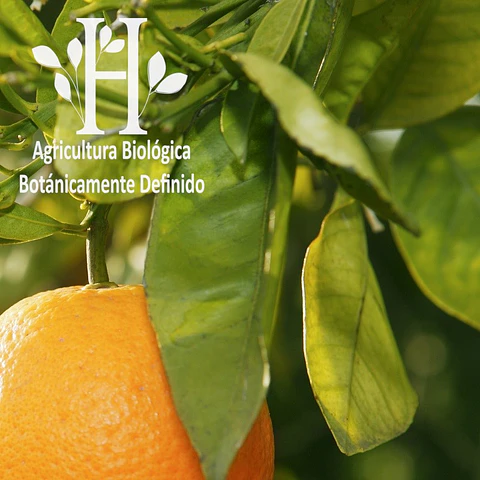 Petit Grain Bio Aceite Esencial 5 ml