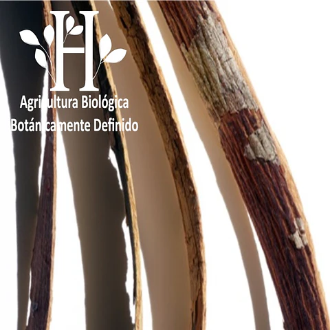 Katafray Bio Aceite Esencial 5 ml