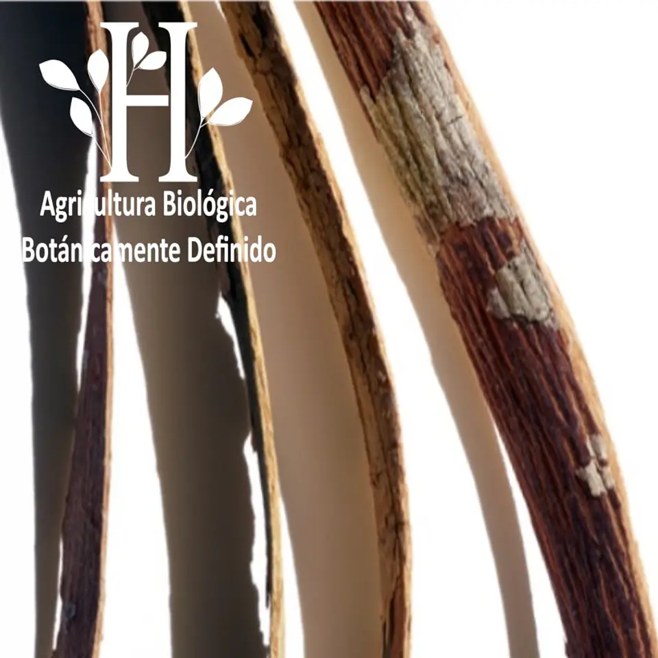 Aceite esencial de Katafray Bio 5 ml 1