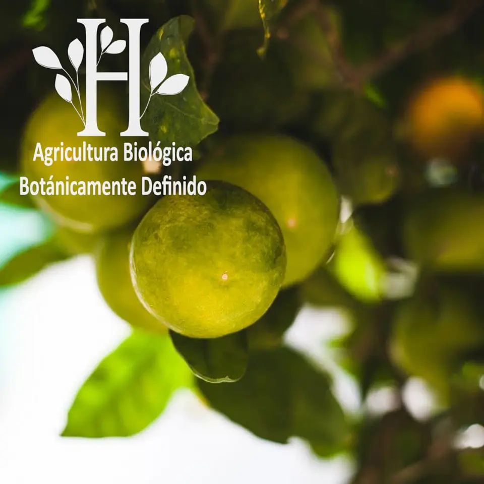 Aceite esencial de Mandarina Verde Bio 5 ml 1