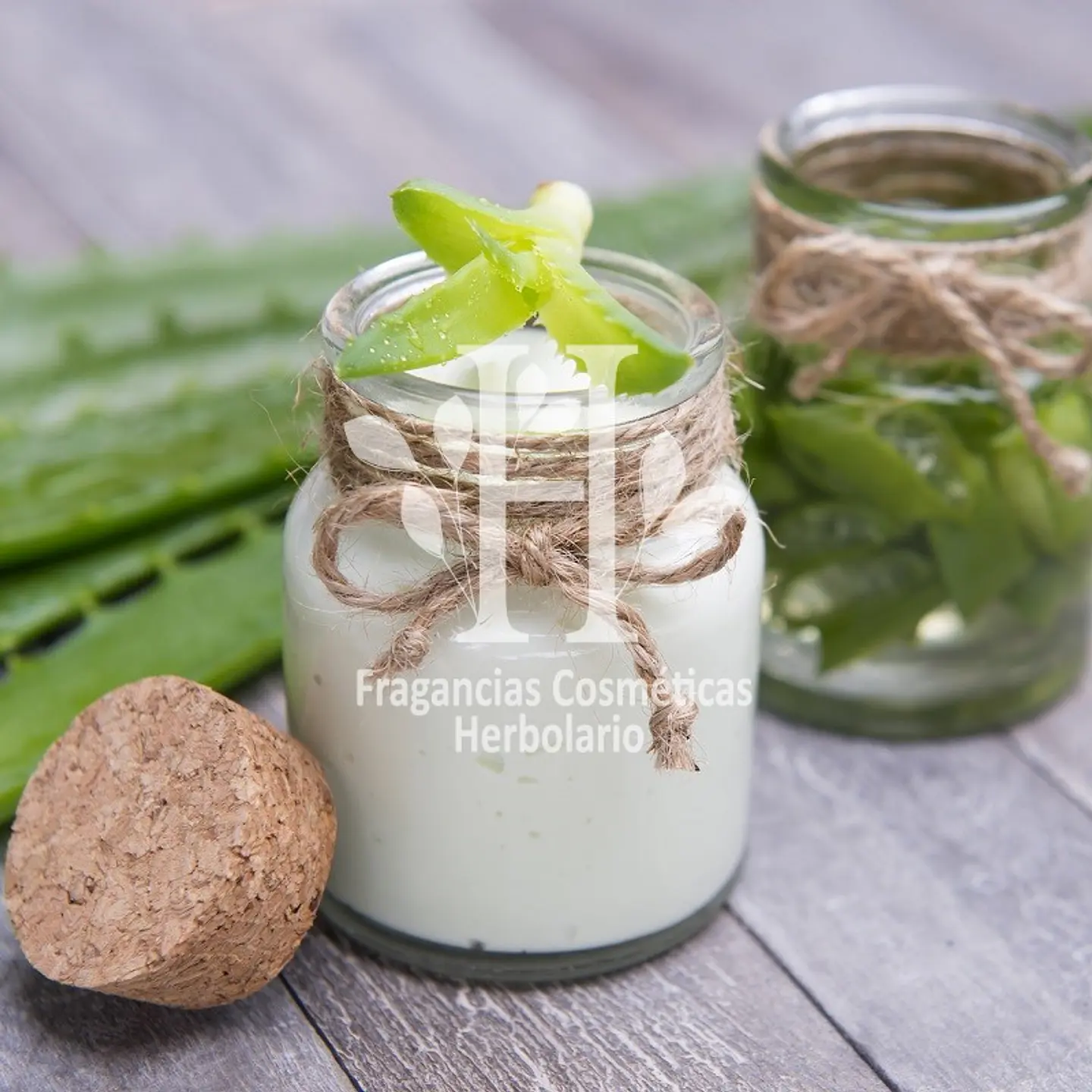 Aloe Vera Fragancia 30 ml 1