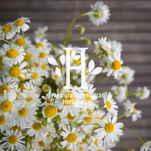 Manzanilla Fragancia 30 ml