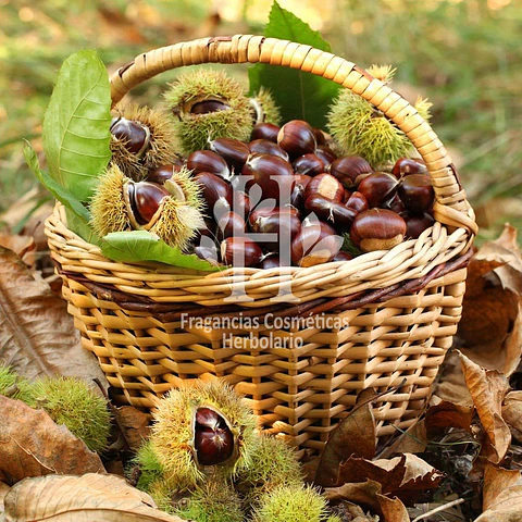 Castaña Fragancia 30 ml