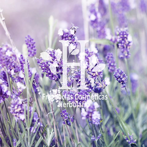 Lavanda Fragancia 30 ml