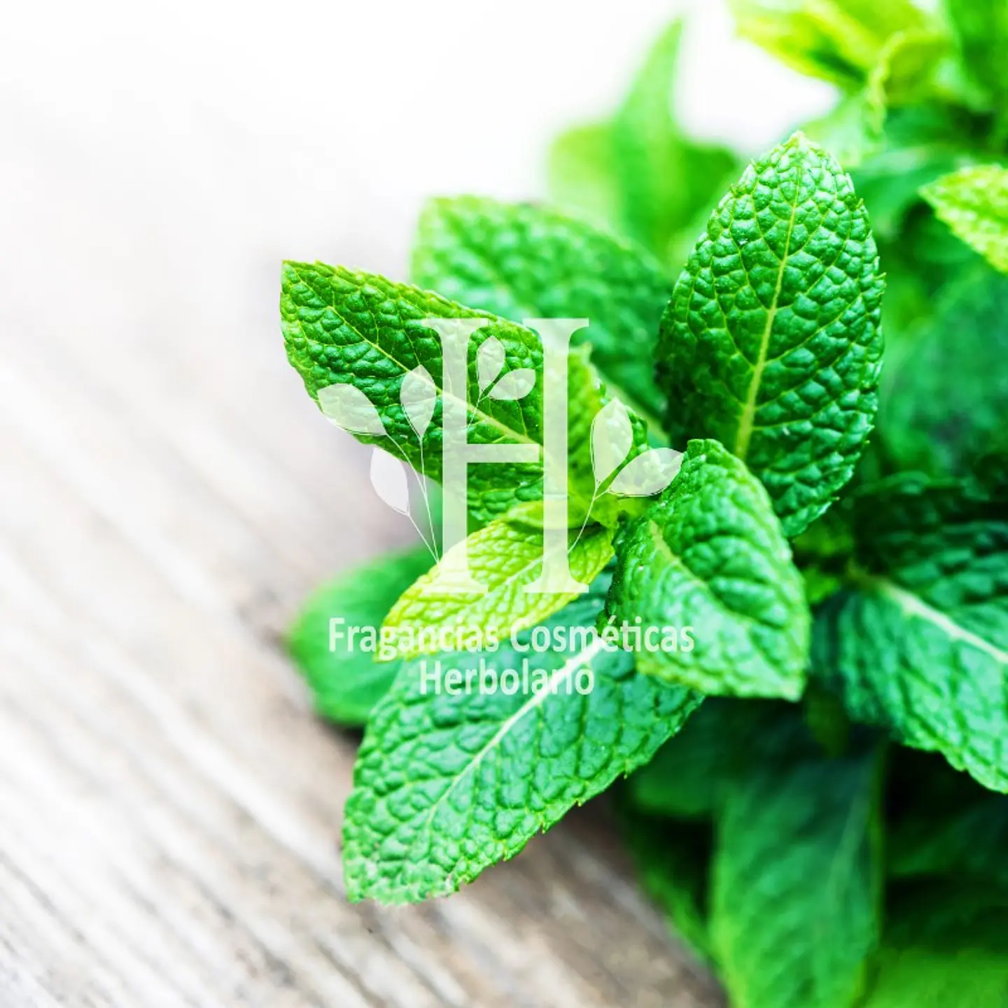 Menta Fragancia 30 ml 1