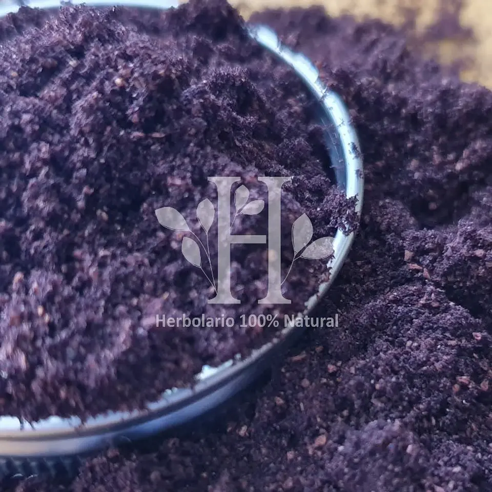 Maqui Fruto Polvo 100 gr 1