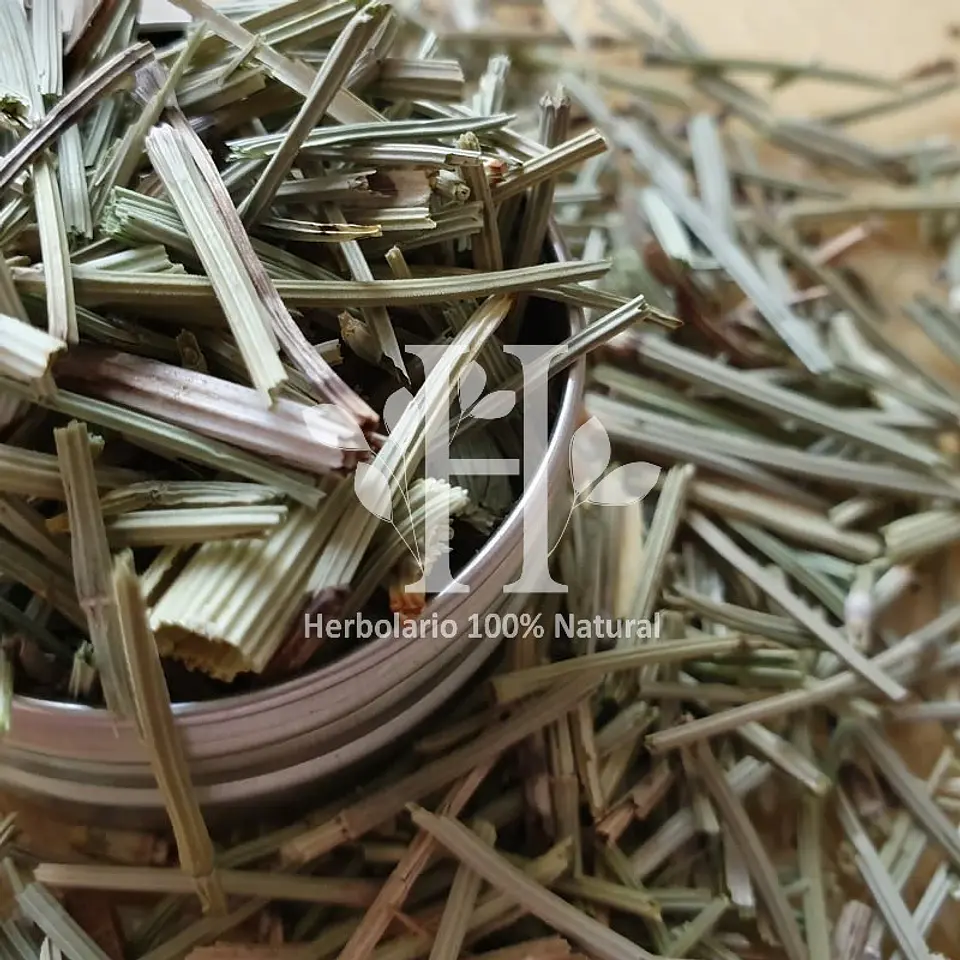 Cola de Caballo Hierba 50 gr Corte infusión 1