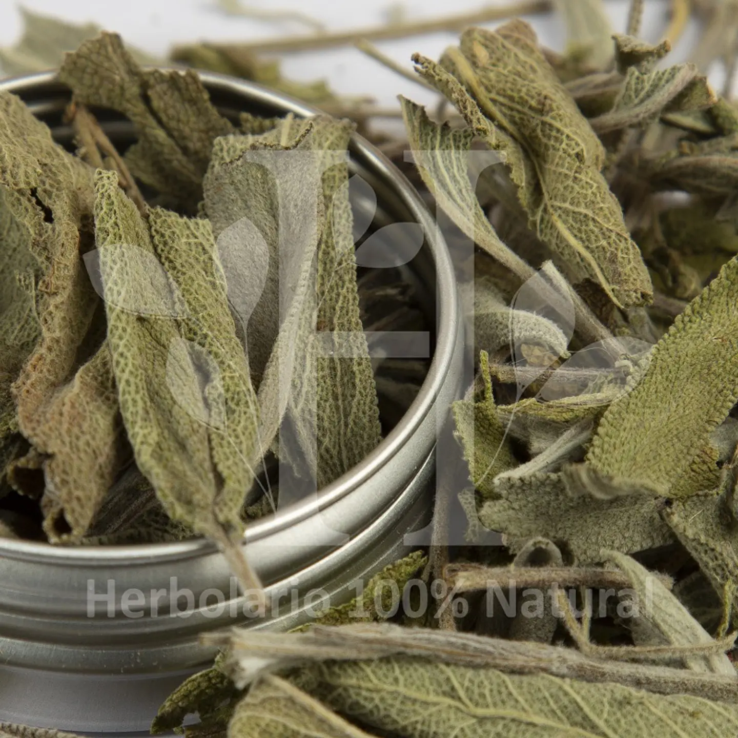 Salvia Polvo Hierba 30 gr 1