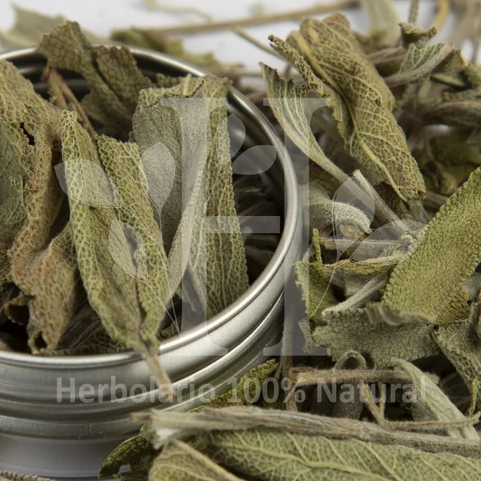 Salvia Polvo Hierba 30 gr 1