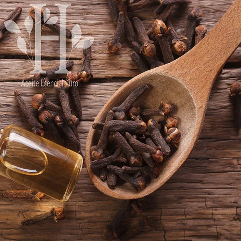 Clavo BIO Aceite esencial 5 ml