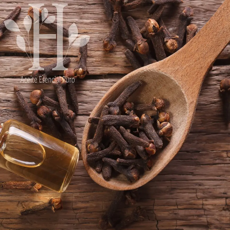 Aceite esencial de Clavo Bio 5 ml 1