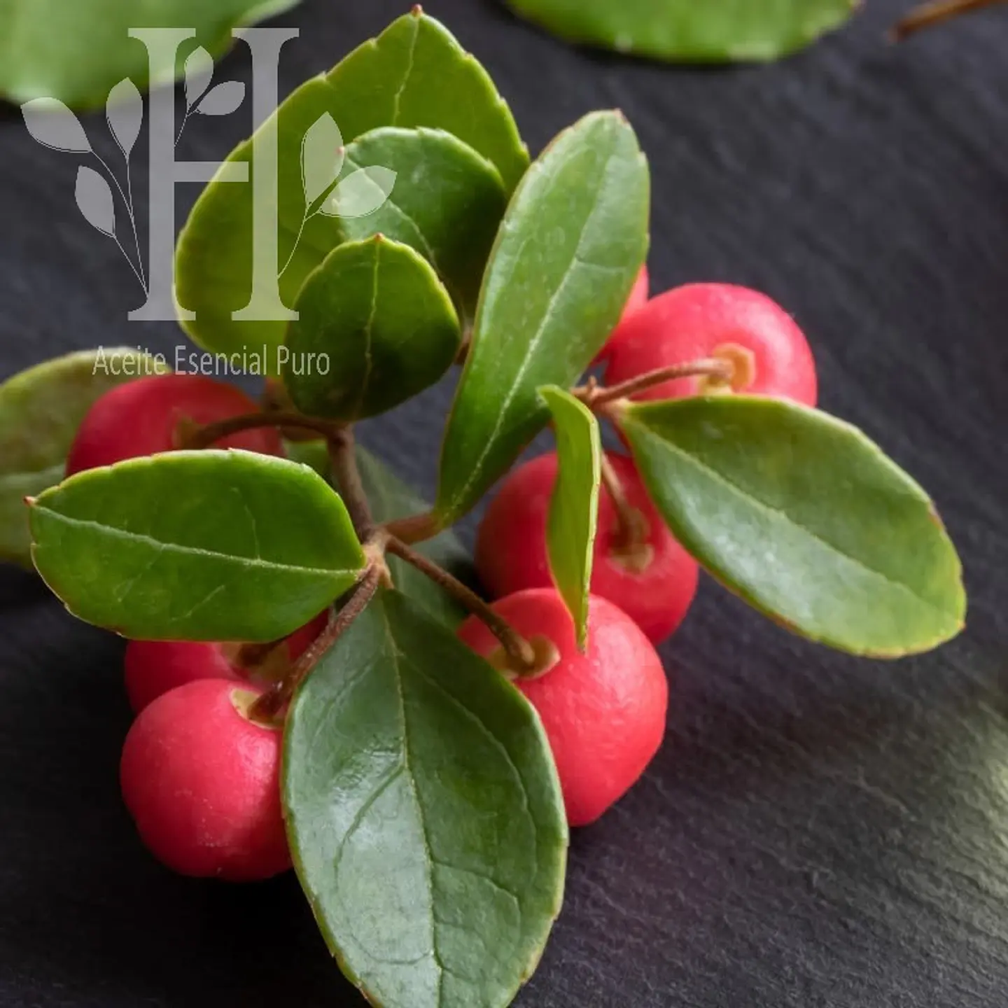 Aceite esencial de Gaulteria 5 ml 1