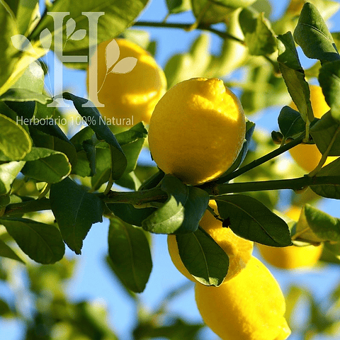 Limón Bio Aceite Esencial 5 ml
