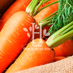 Aceite de Zanahorias 