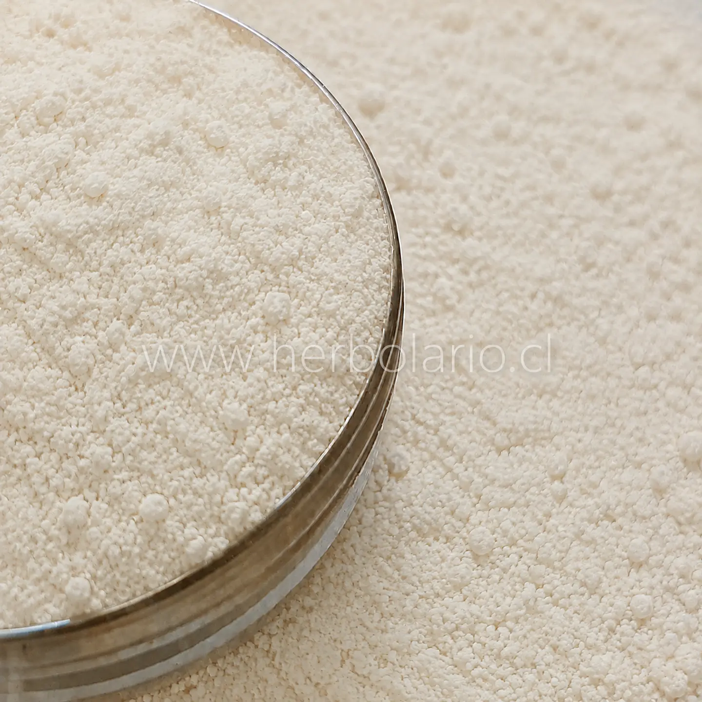 Vitamina C Estabilizada Liposoluble · Ascorbyl Palmitate 10 g 1