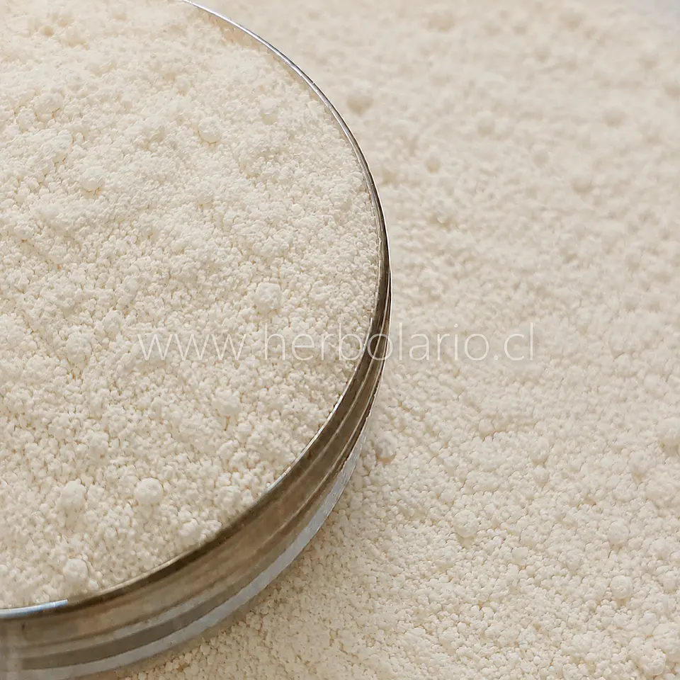 Vitamina C Estabilizada Liposoluble · Ascorbyl Palmitate 10 g 1