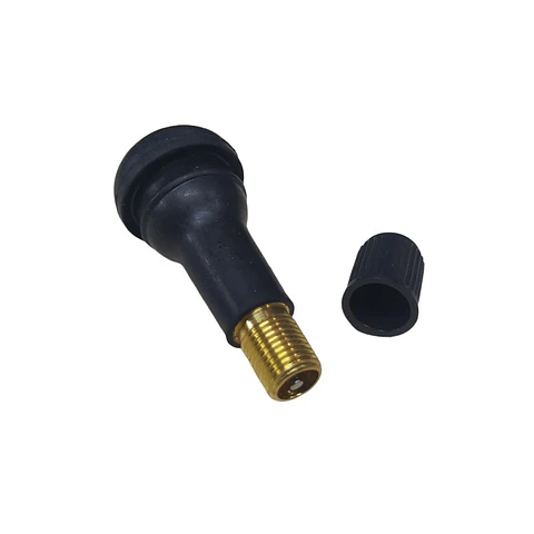 🚗 Válvulas para Neumáticos 45 mm x 19 mm 🔧