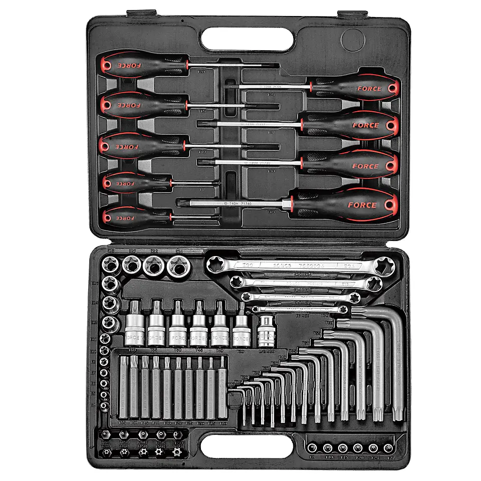 Juego de Dados y Llaves Torx - 73 piezas 1