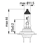 Ampolleta H7  24V  70W - Miniatura 2