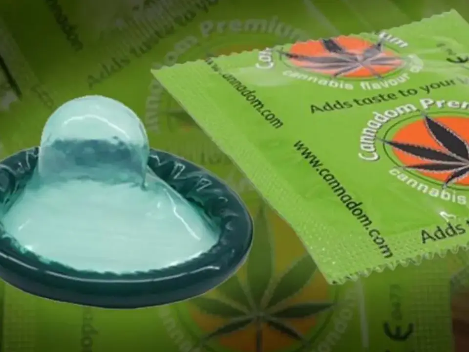 Cannabis Condoms Marijuana Flavoured  1