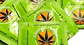 Cannabis Condoms Marijuana Flavoured  - Thumbnail 2