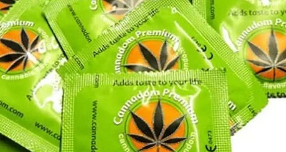 Cannabis Condoms Marijuana Flavoured  2