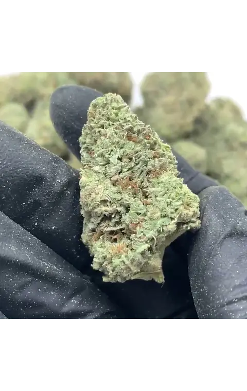 Pineapple Indoor CBD