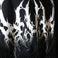 Buzo Oversize Premium Evil Cloak - Miniatura 8