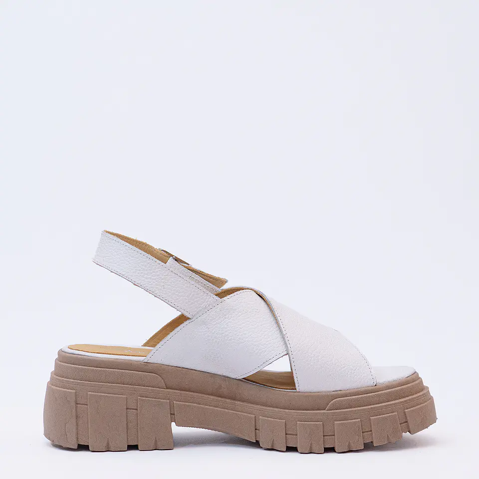 RECOLATA BLANCA 4